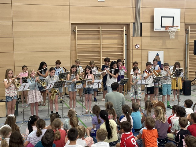 Sommerkonzert - Bild 1